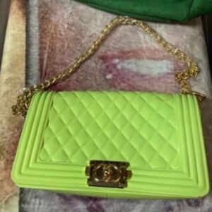 Lime Handbag only the lime one